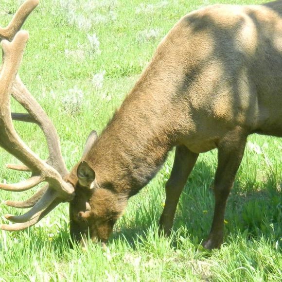 Meet your Posher, Mark - Picture 1 of 1